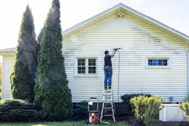 Professional Pressure Washing Services in Burnsville, NC